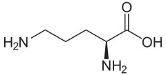 L-Ornityna - wzór chemiczny