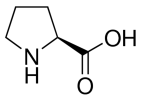 wzór chemiczny l-proliny