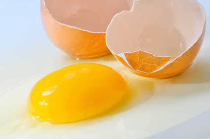 Lecytyna z żółtek jajek