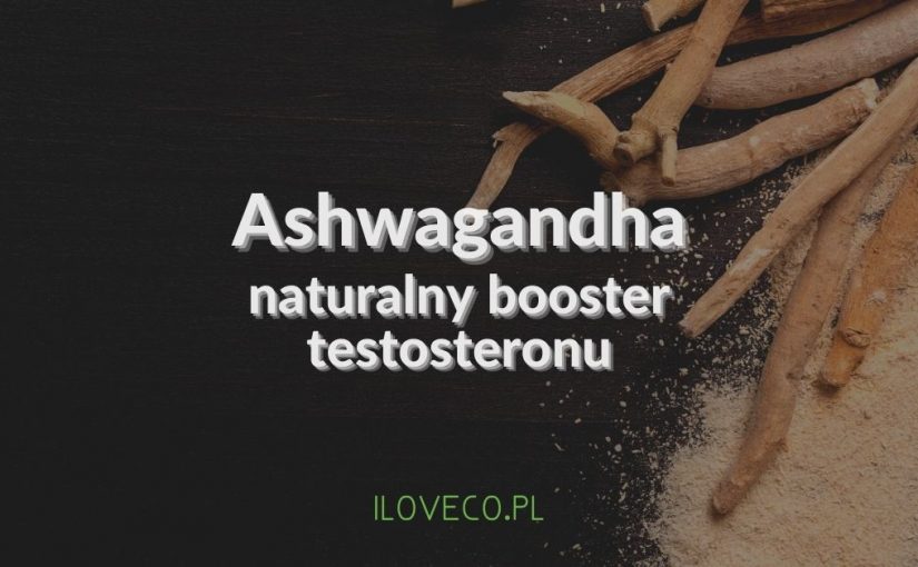 Ashwagandha (indyjski żeń-szeń) – naturalny booster testosteronu